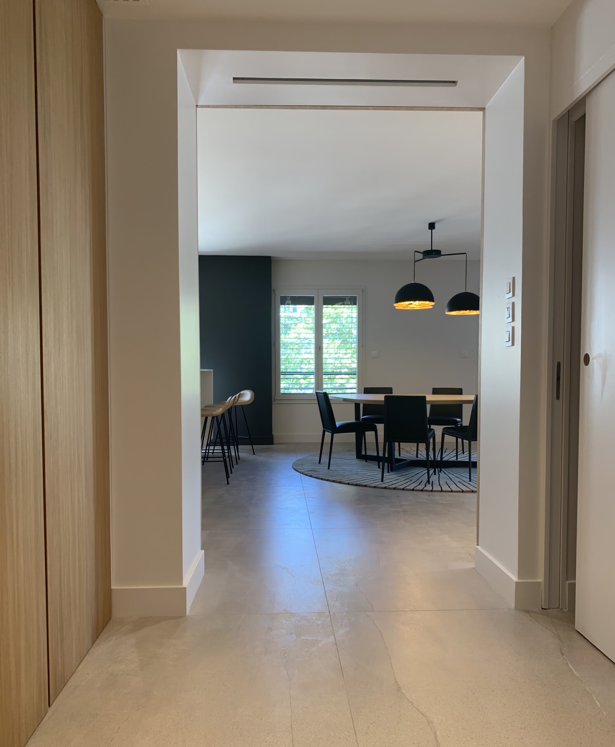 Rénovation moderne d'un appartement à Lyon avec placard d'entrée intégré et portes en bois naturel